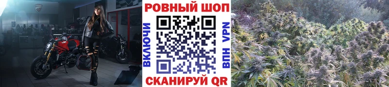 Где продают наркотики Старица МАРИХУАНА  Псилоцибиновые грибы  Меф мяу мяу 