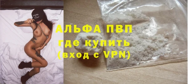 гидра Сафоново