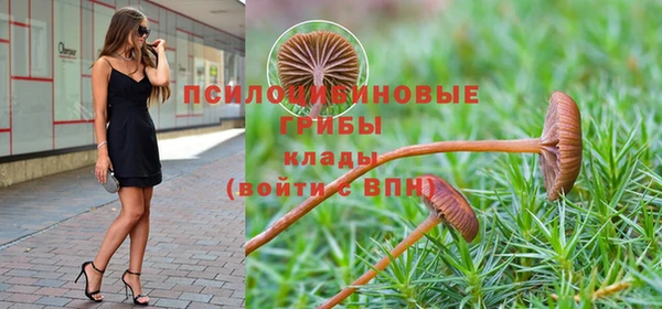 крисы Инта