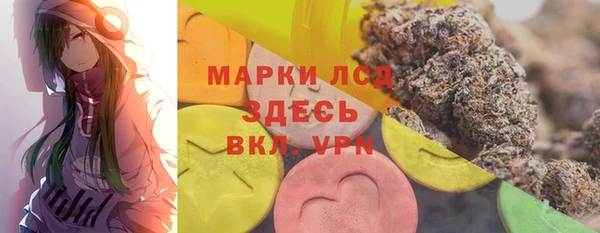 прущие грибы Зерноград