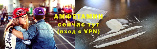 крисы Инта
